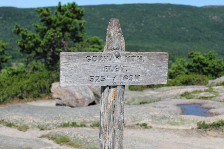 Gorham Mountain Trail In Acadia National Park