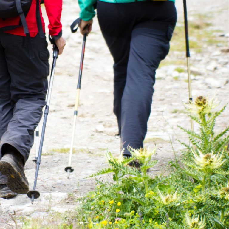 Plus size hiking capris online